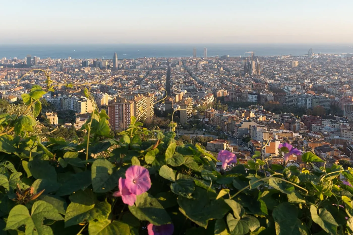 Barcelona from the Bunkers del Carmel: the Eixample grid running down to the sea, with the Sagrada Família and the Torre Glòries on the skyline