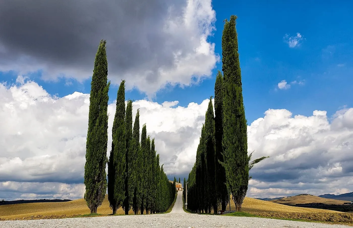 Two rows of tall cypress trees lining a gravel drive across ploughed fields in the Val d'Orcia